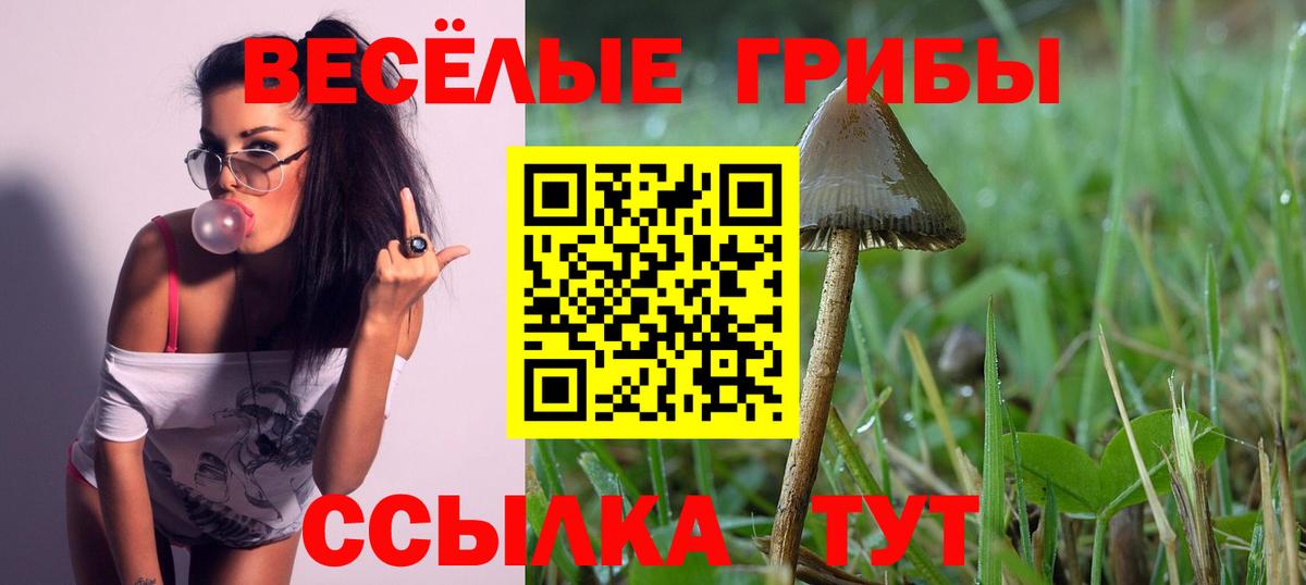 Галлюциногенные грибы Cubensis Туймазы